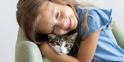 Pet Custody in B.C. Divorces